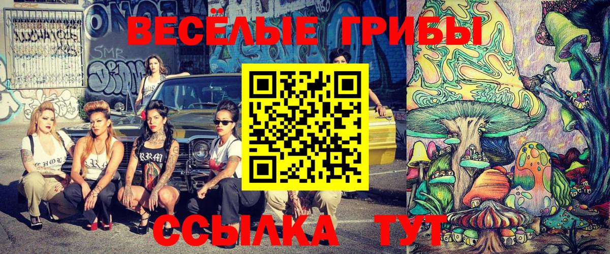 Псилоцибиновые грибы MAGIC MUSHROOMS  Вход с VPN  Егорьевск 